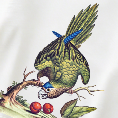 Close up of botanical bird illustration on sweatshirt, nature art wildlife print aesthetic clothing